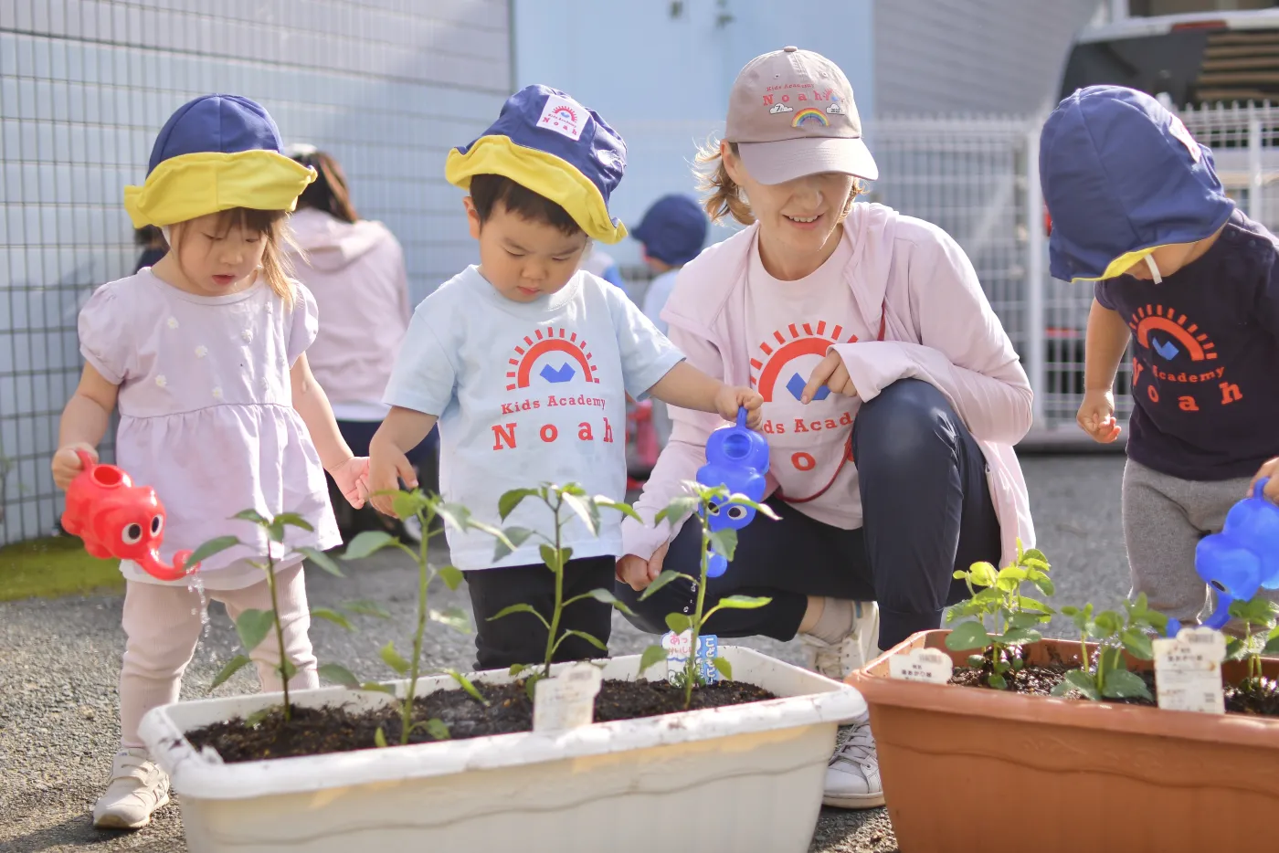 植物を育てながら学ぶ子どもたち